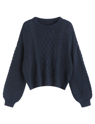 Oversized Lantern Sleeve Pullover Top