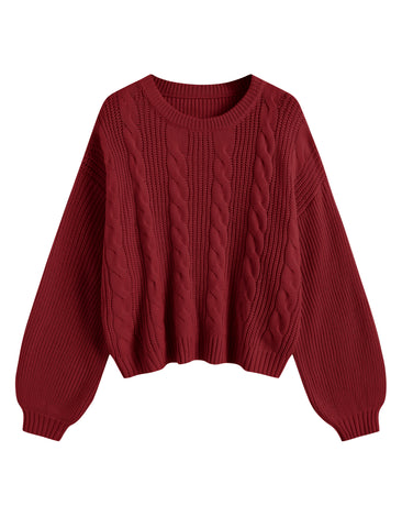 Oversized Lantern Sleeve Pullover Top