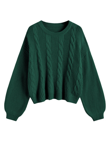 Oversized Lantern Sleeve Pullover Top