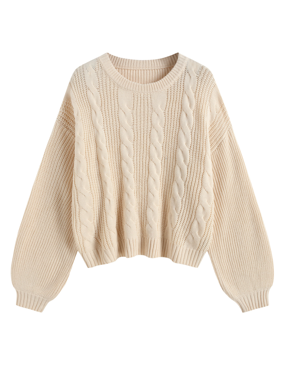 Oversized Lantern Sleeve Pullover Top