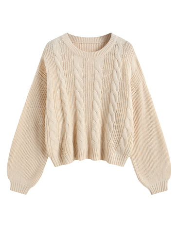 Oversized Lantern Sleeve Pullover Top