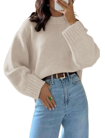 ZAFUL Crew Neck Casual Knit Sweater-AMZ