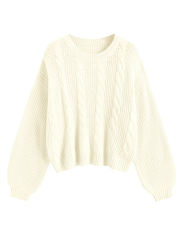 Oversized Lantern Sleeve Pullover Top